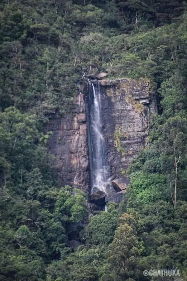 Homestay The Paulwood Home Cabin Nuwara Eliya