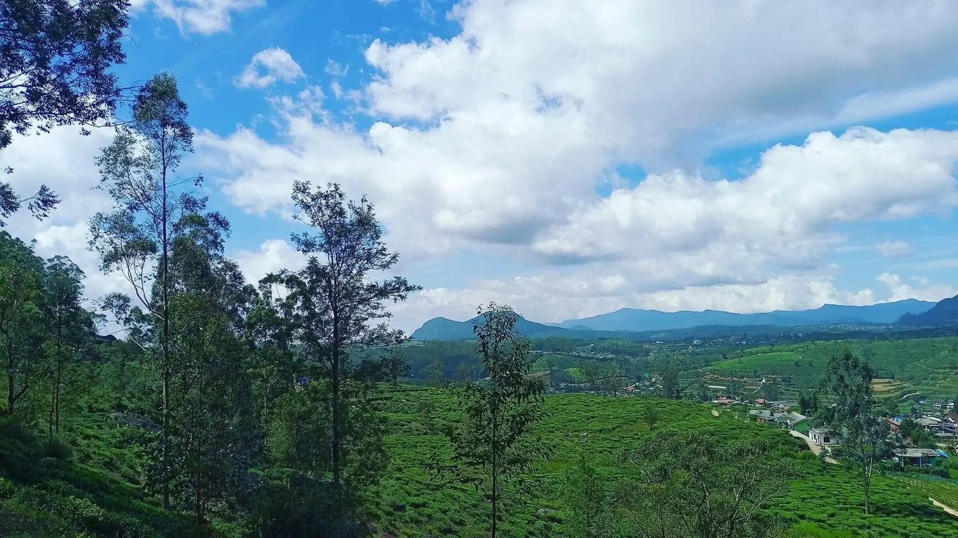 Homestay The Paulwood Home Cabin Nuwara Eliya